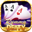 rummy wealth 111