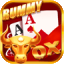 dream color rummy download for android